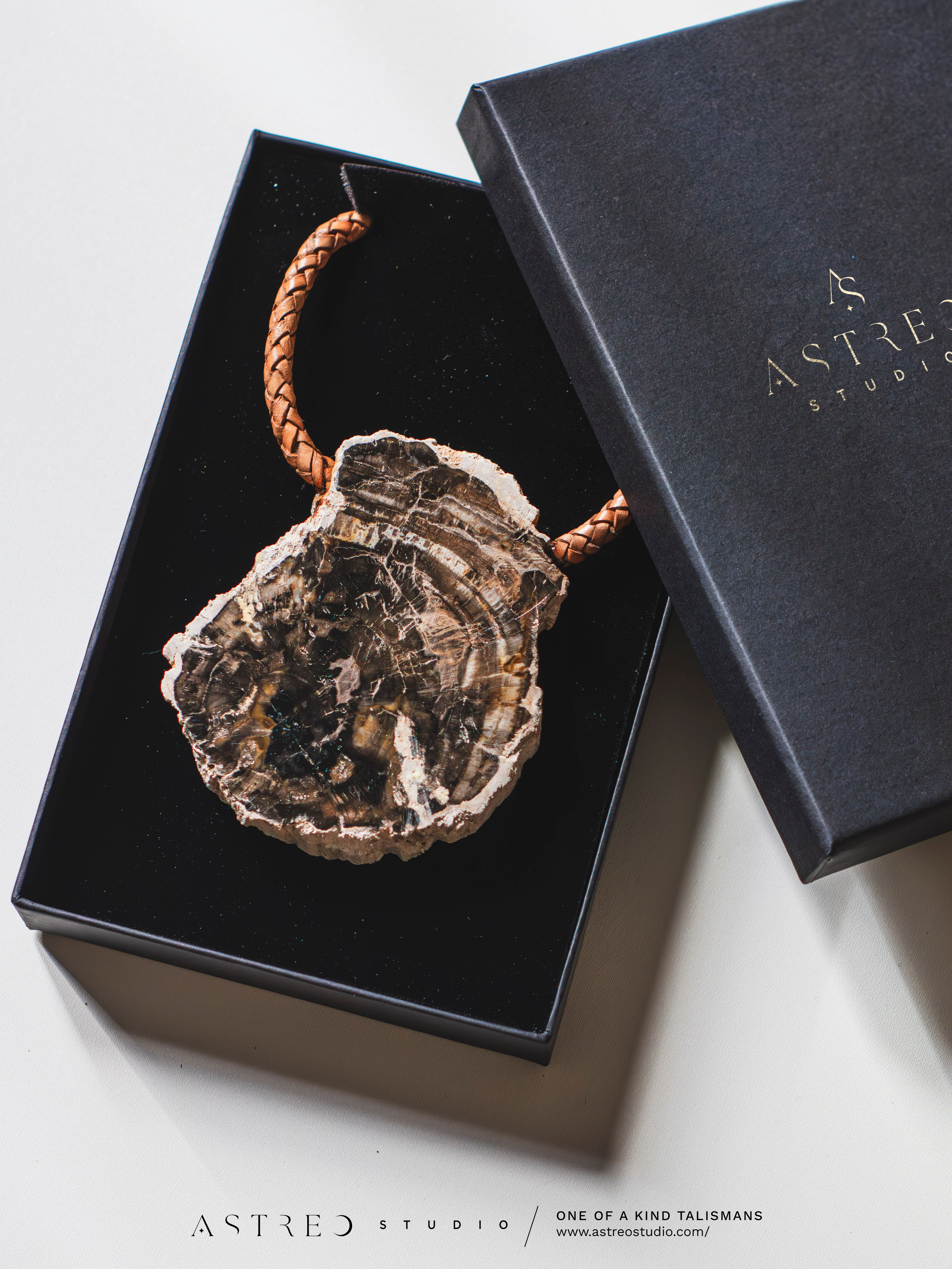 Leren ketting met fossiel hout, Xylofoonslag - Medaillon XL
