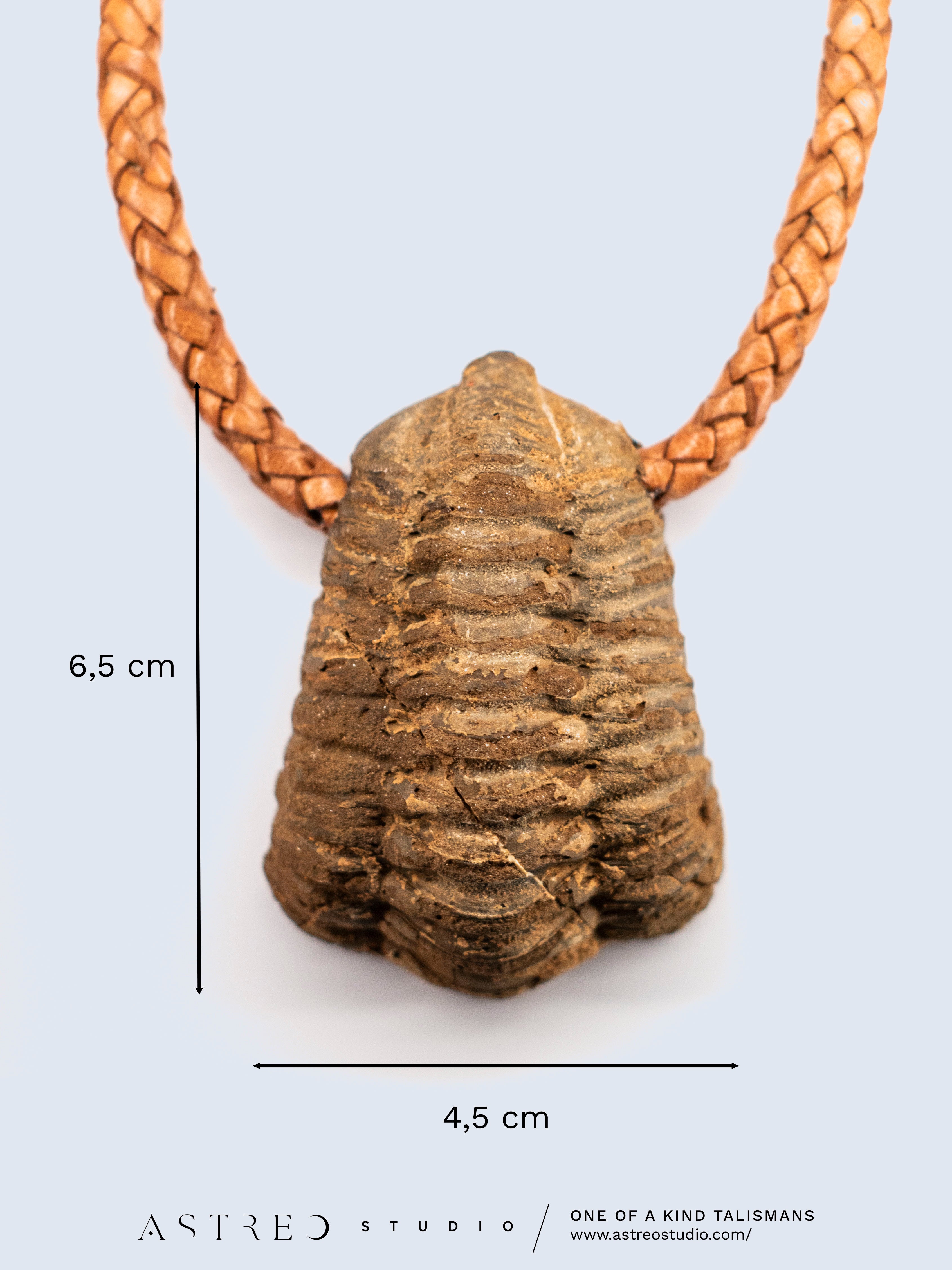 Collar Cuero Con Trilobites